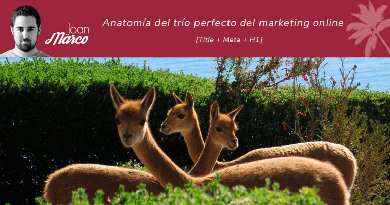 title + meta + h1: el trío perfecto del marketing online